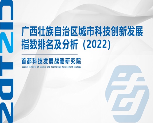 我操逼的看【成果发布】广西壮族自治区城市科技创新发展指数排名及分析（2022）